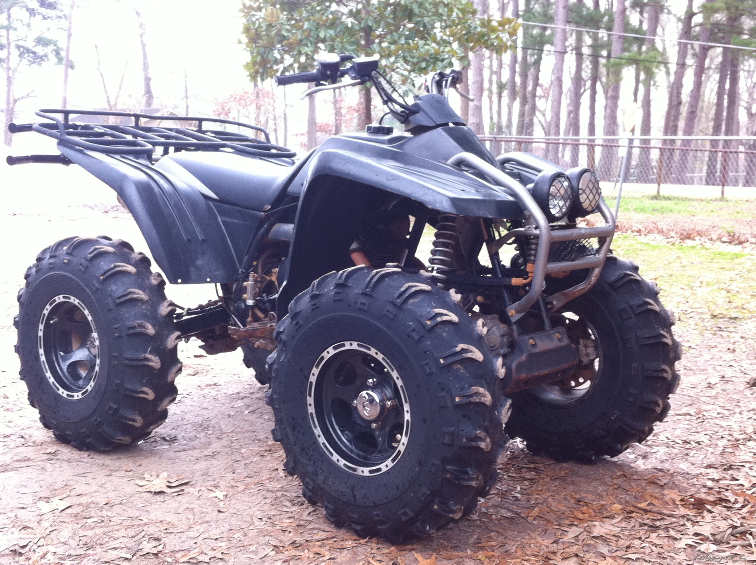 Photo 2395440