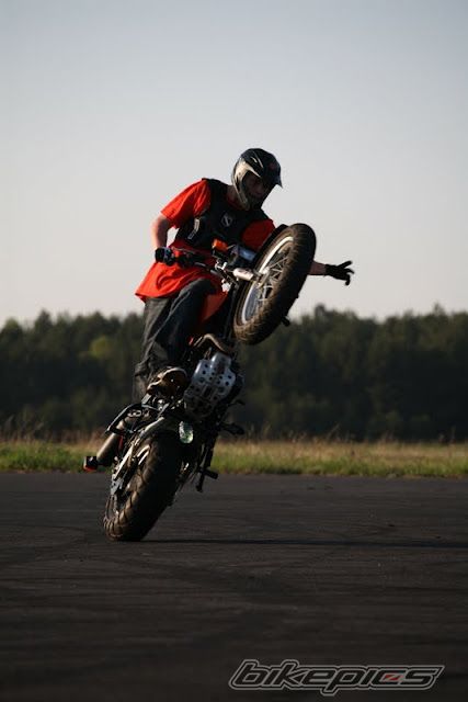 Photo 2395482
