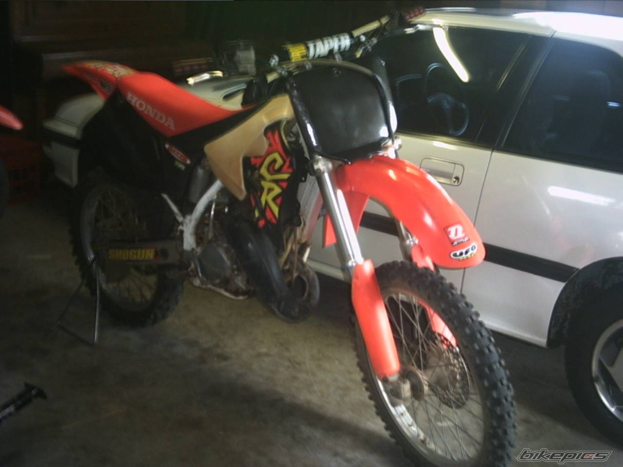 Photo 239549