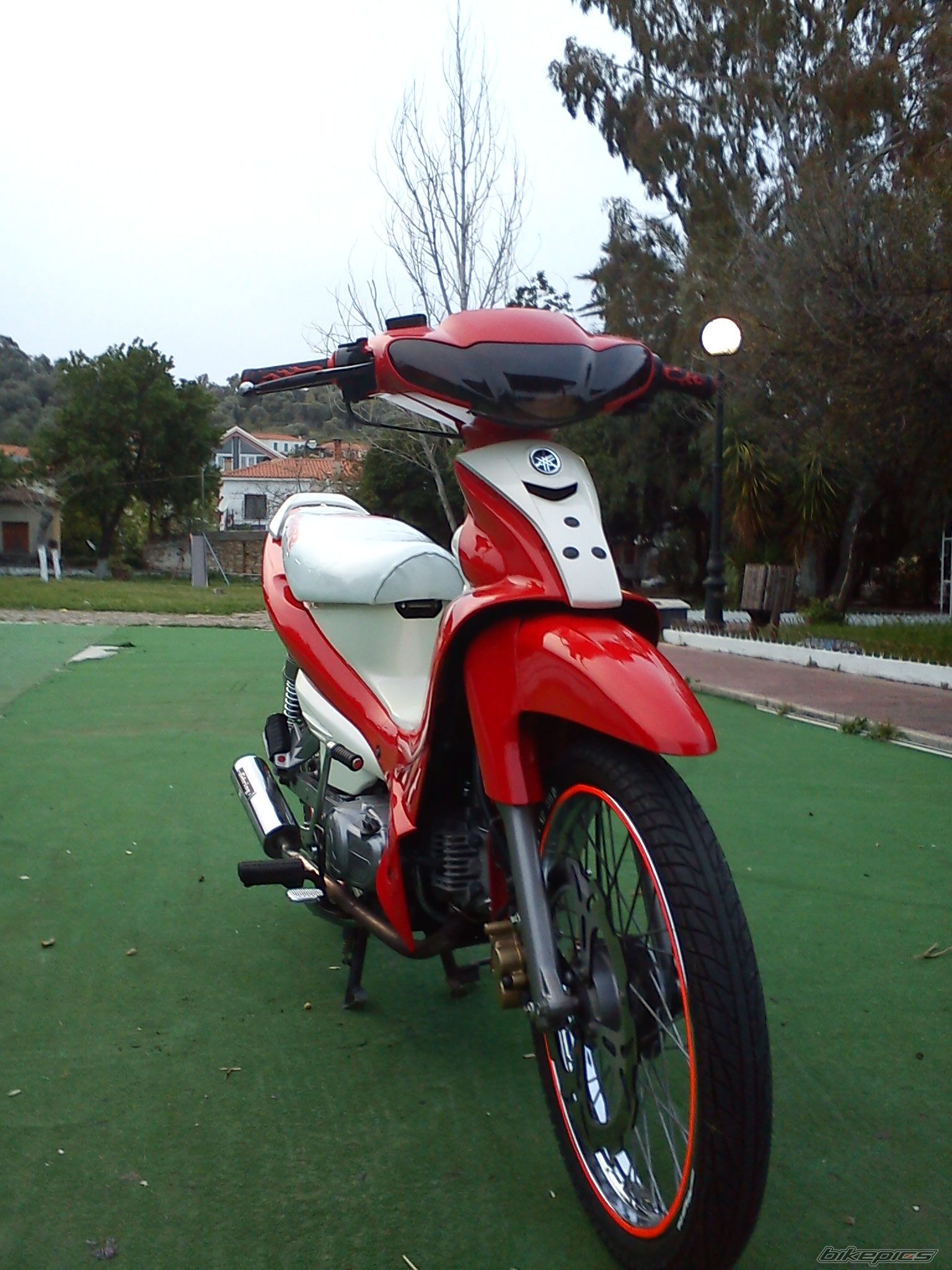 Photo 2395640