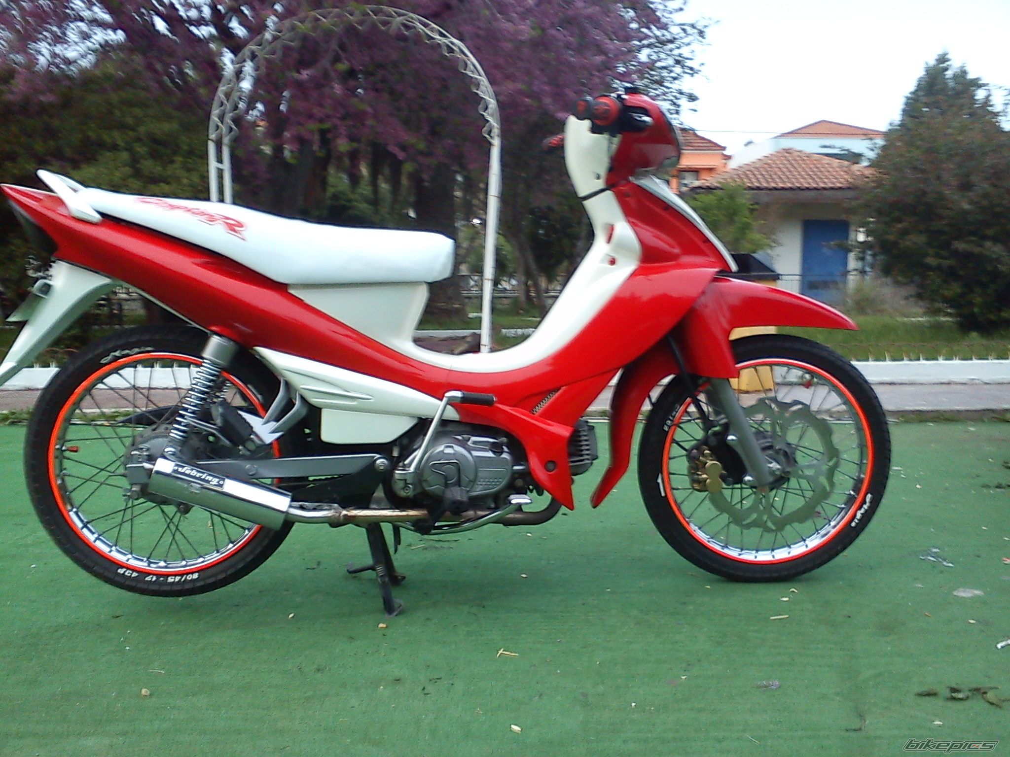 Photo 2395650