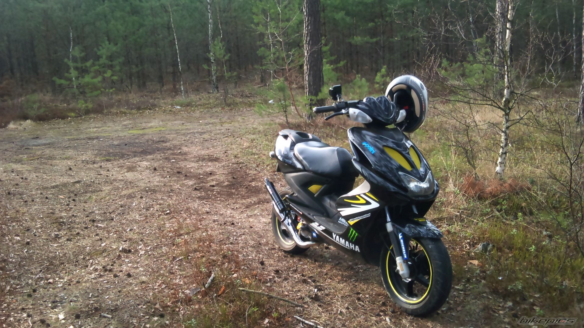 Photo 2395664