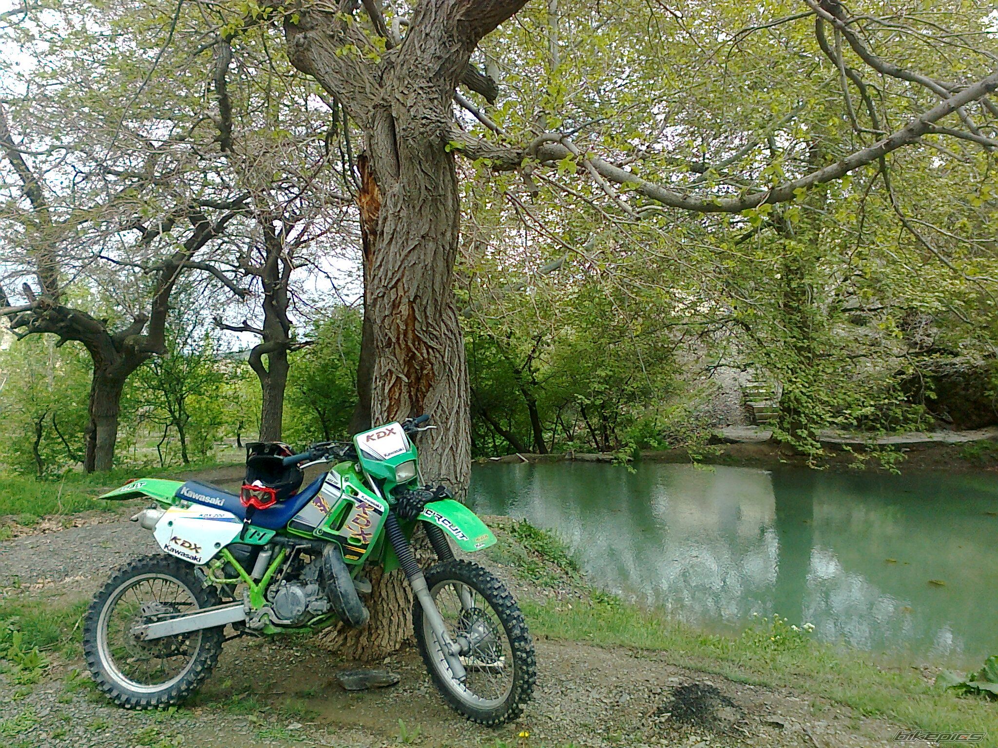 Photo 2395682