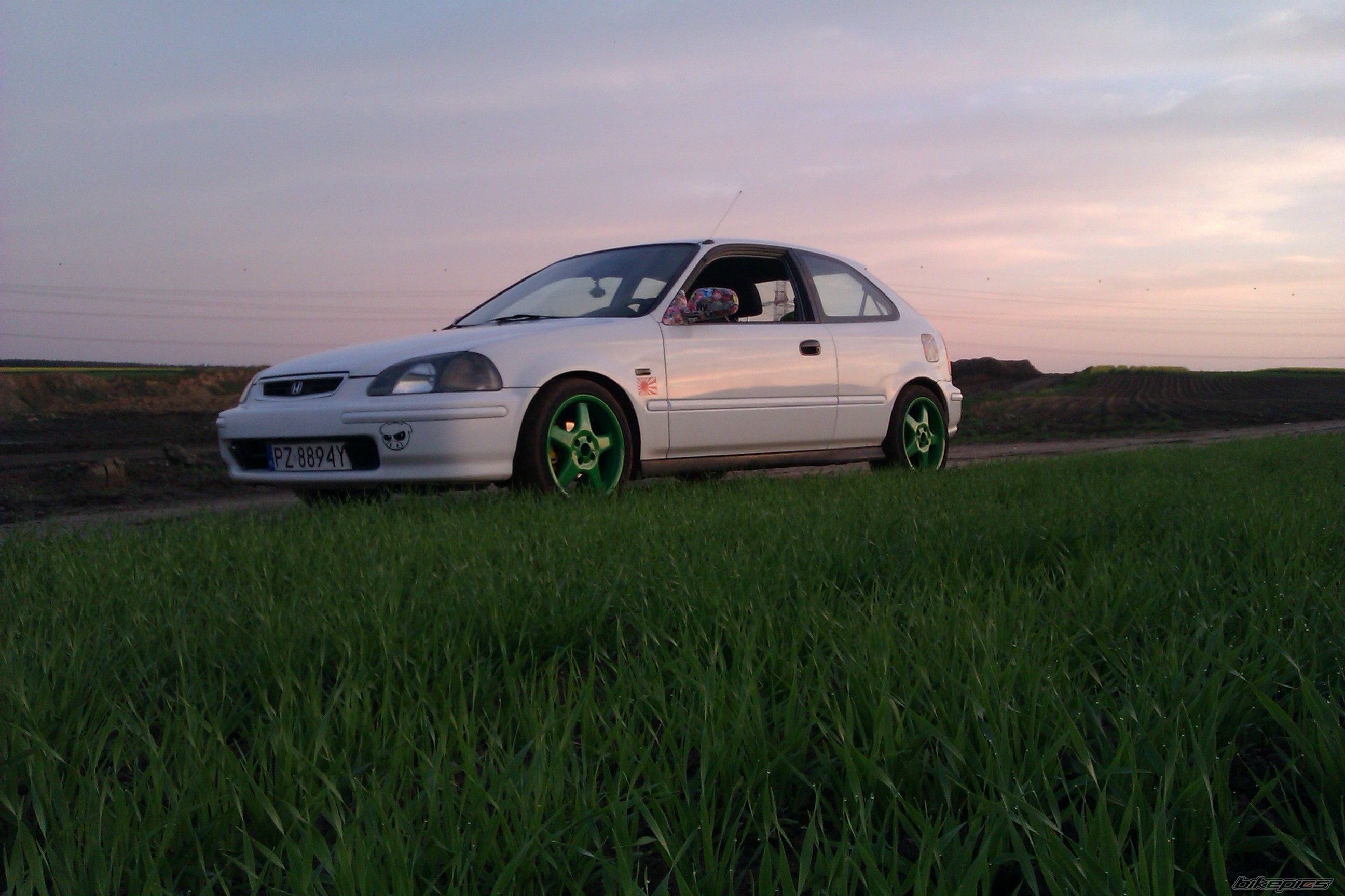 Photo 2395693