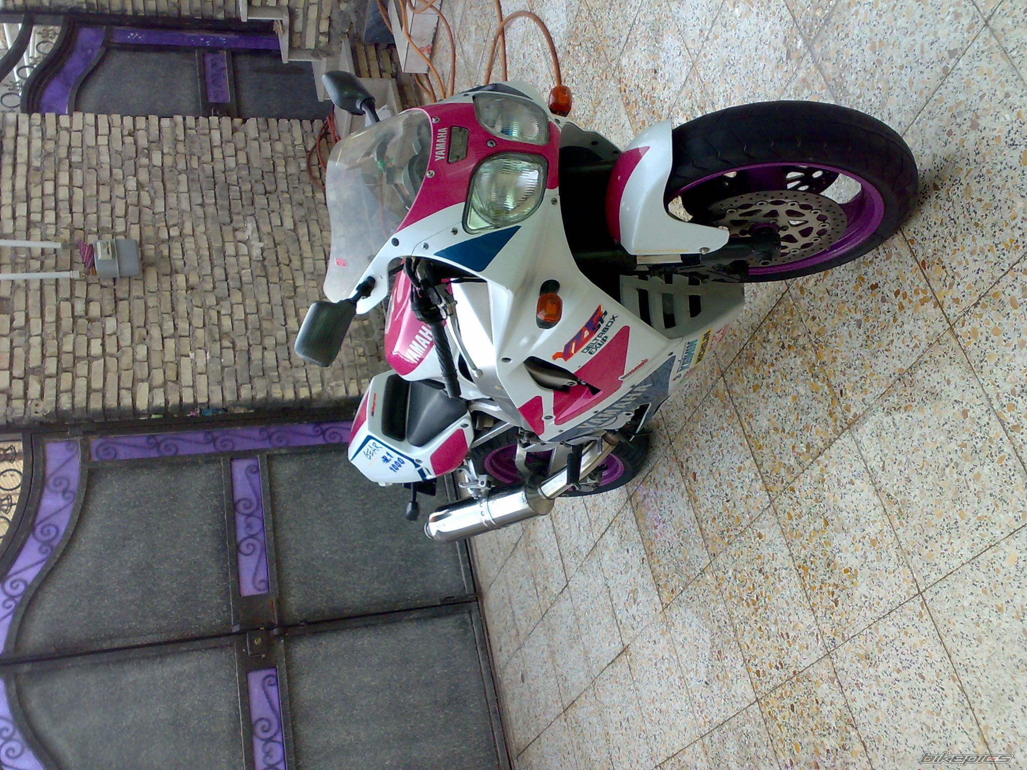 Photo 2395702
