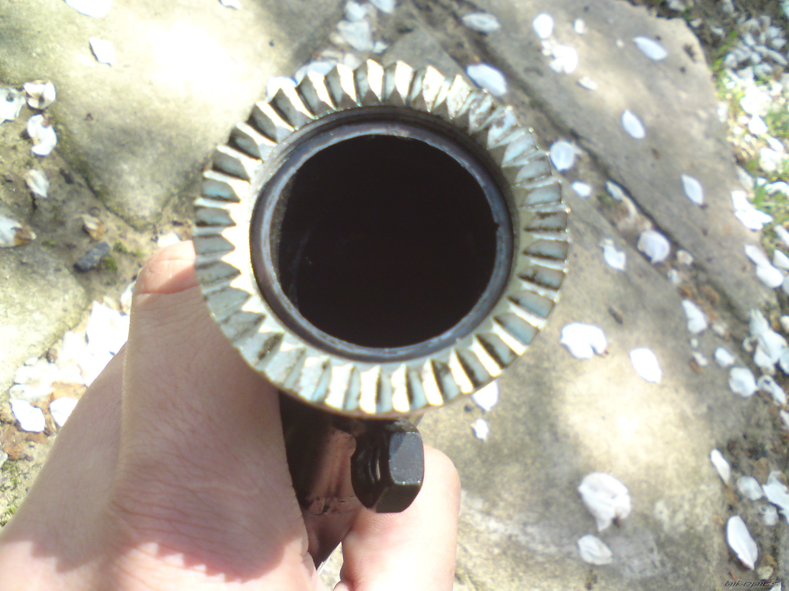 Photo 2395721