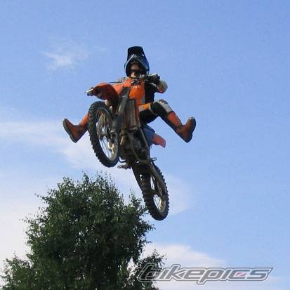 Photo 239573