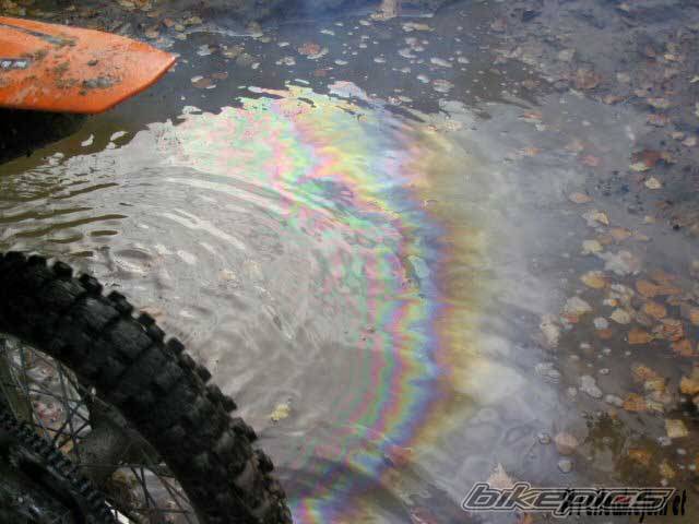 Photo 239575