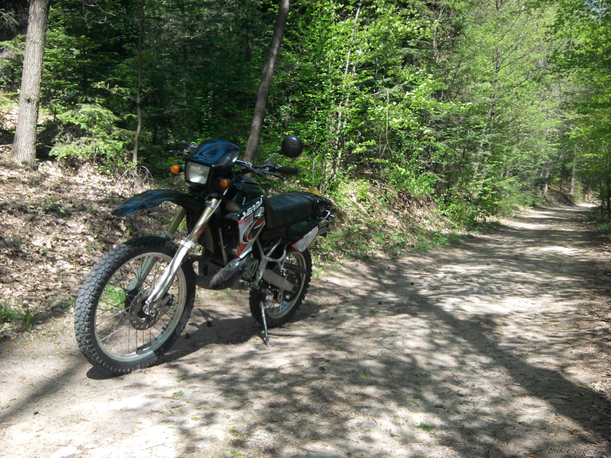 Bike Photo 2395785