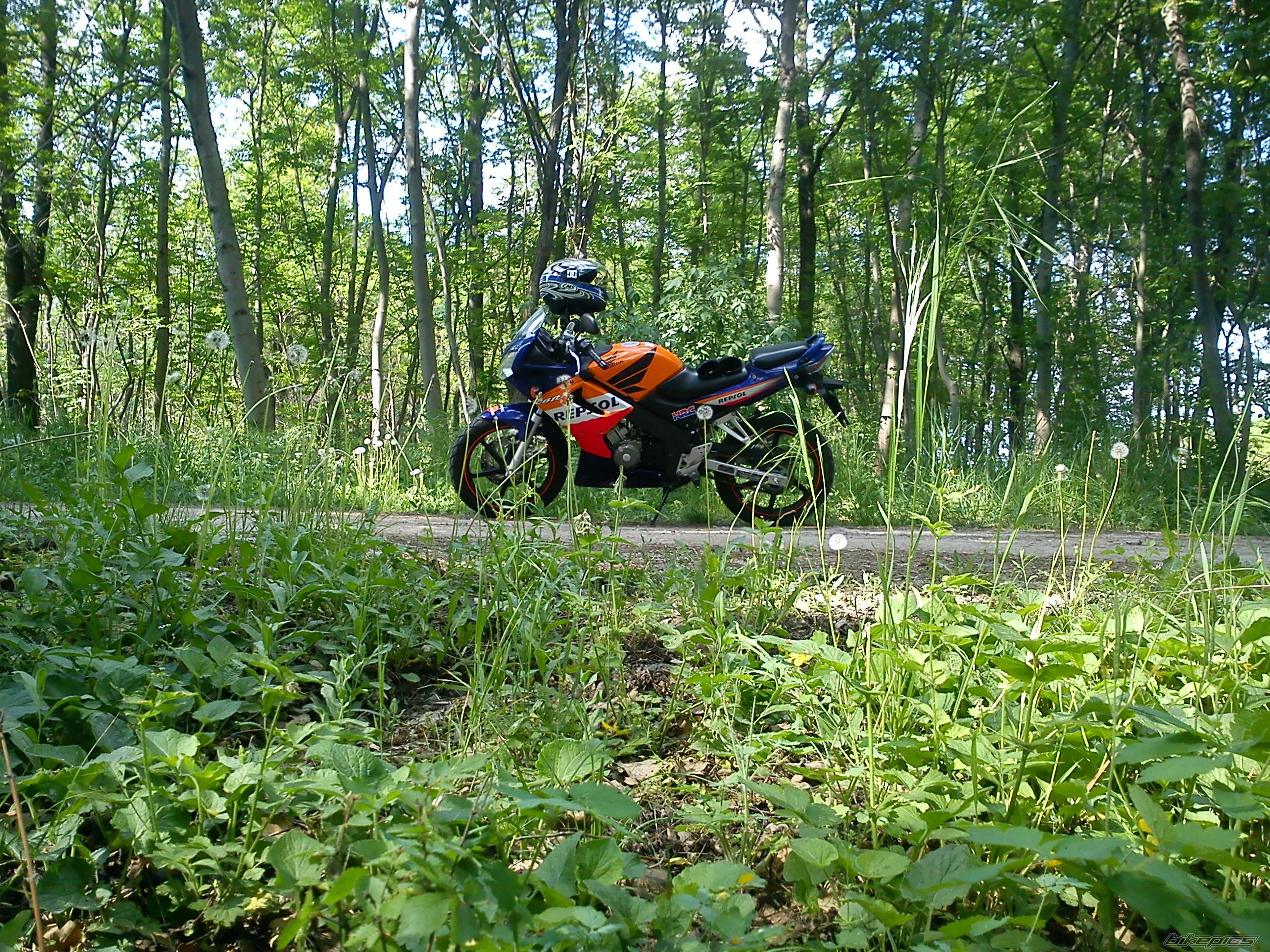 Photo 2395787