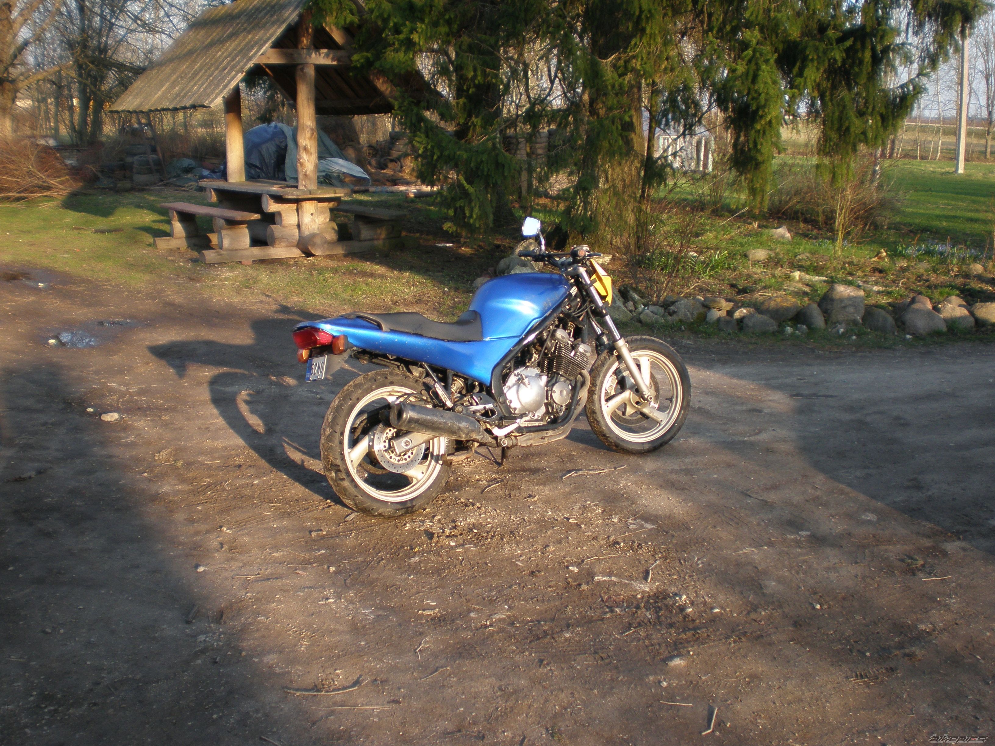 Photo 2395789