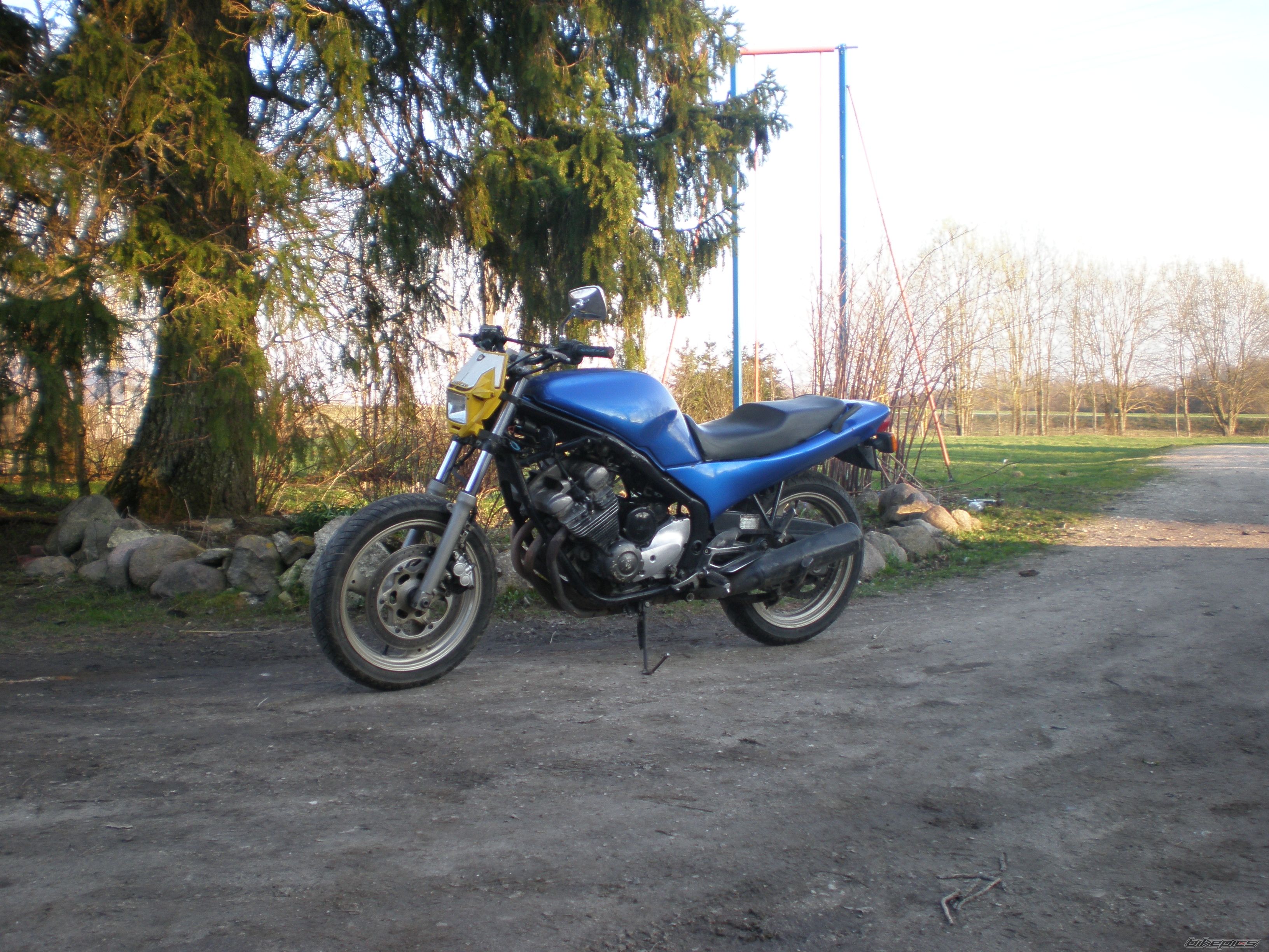 Photo 2395790