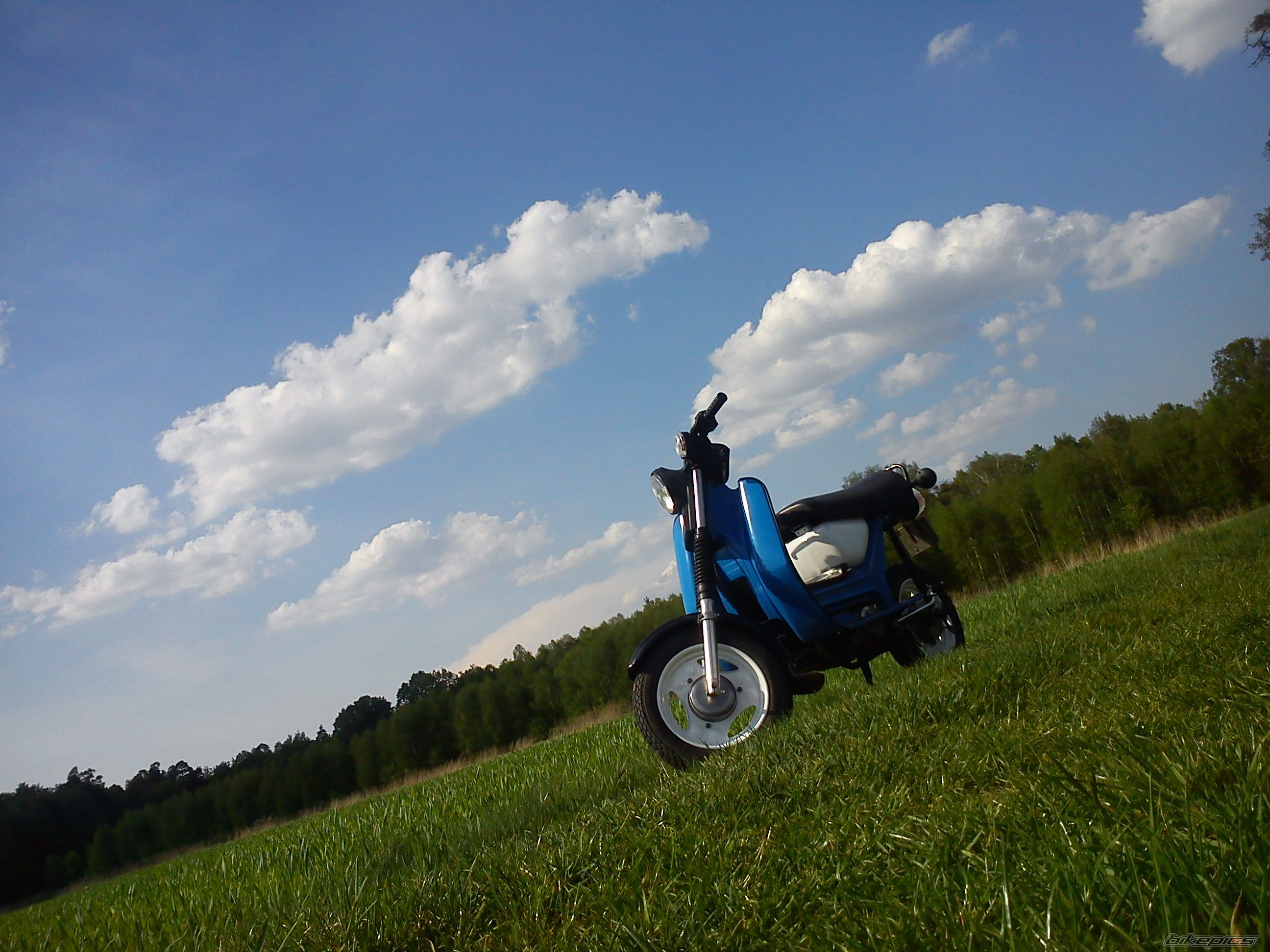 Photo 2395799