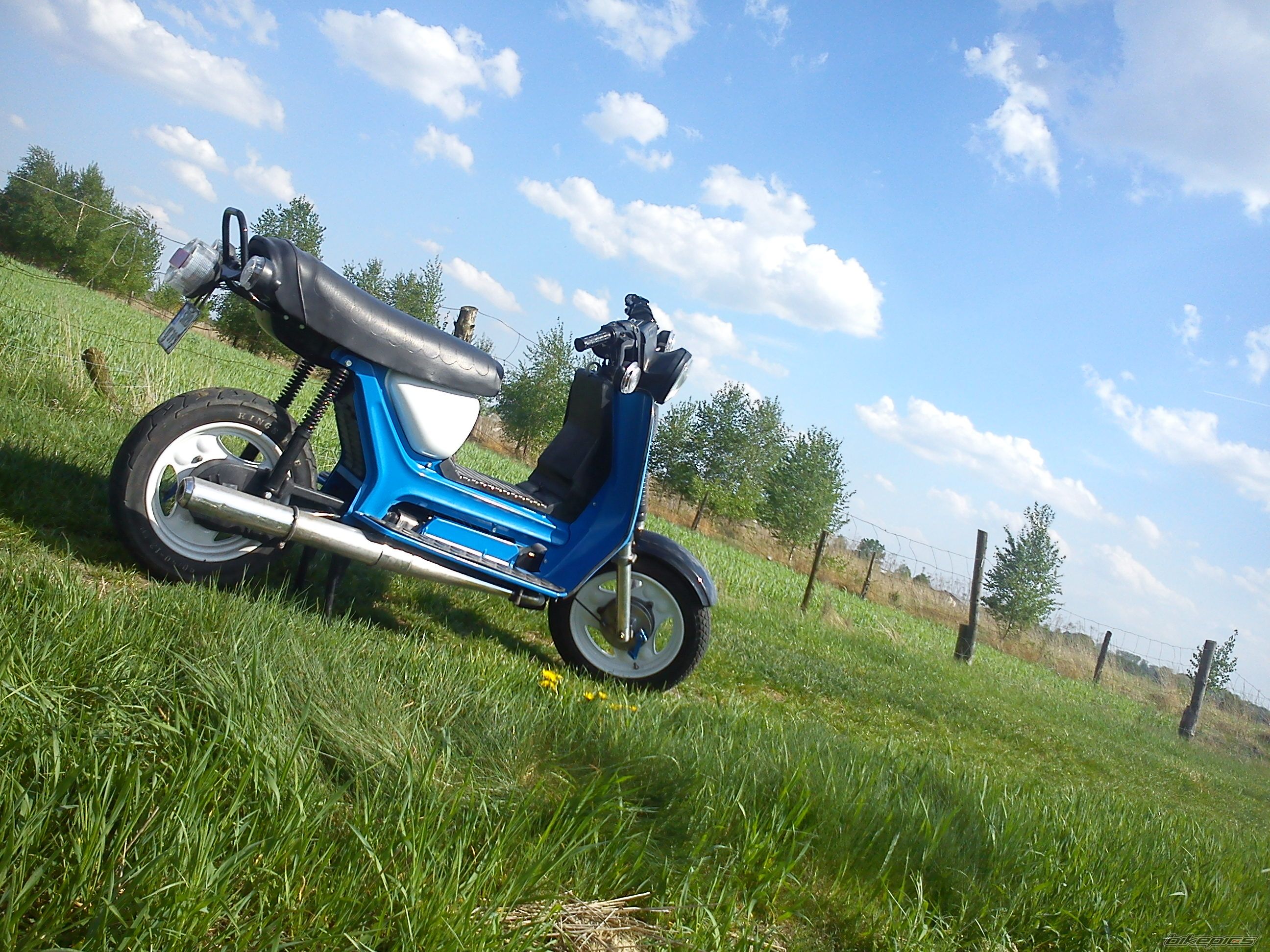 Photo 2395808