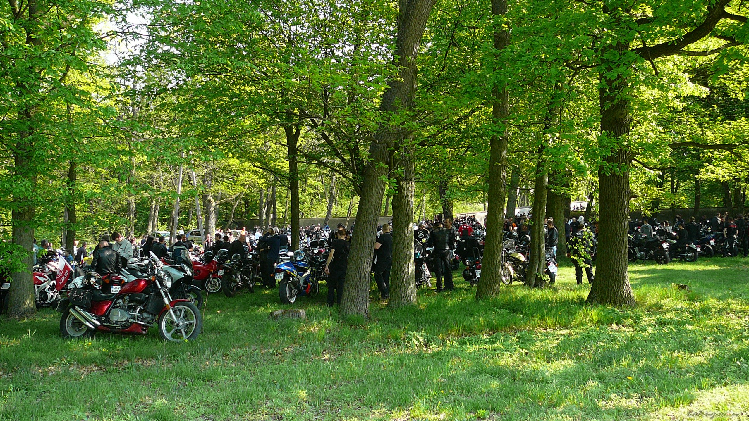 Bike Photo 2395853