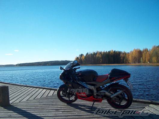 Photo 239587