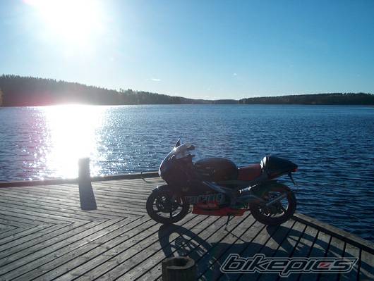 Photo 239593