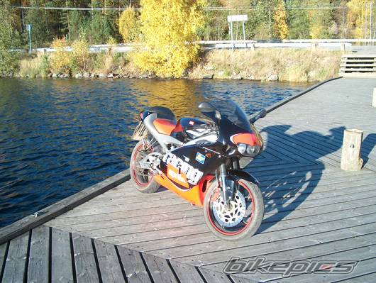 Photo 239596