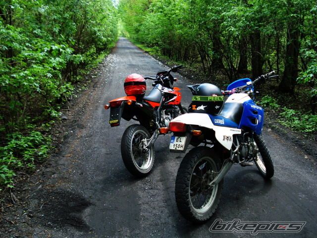 Photo 2396060