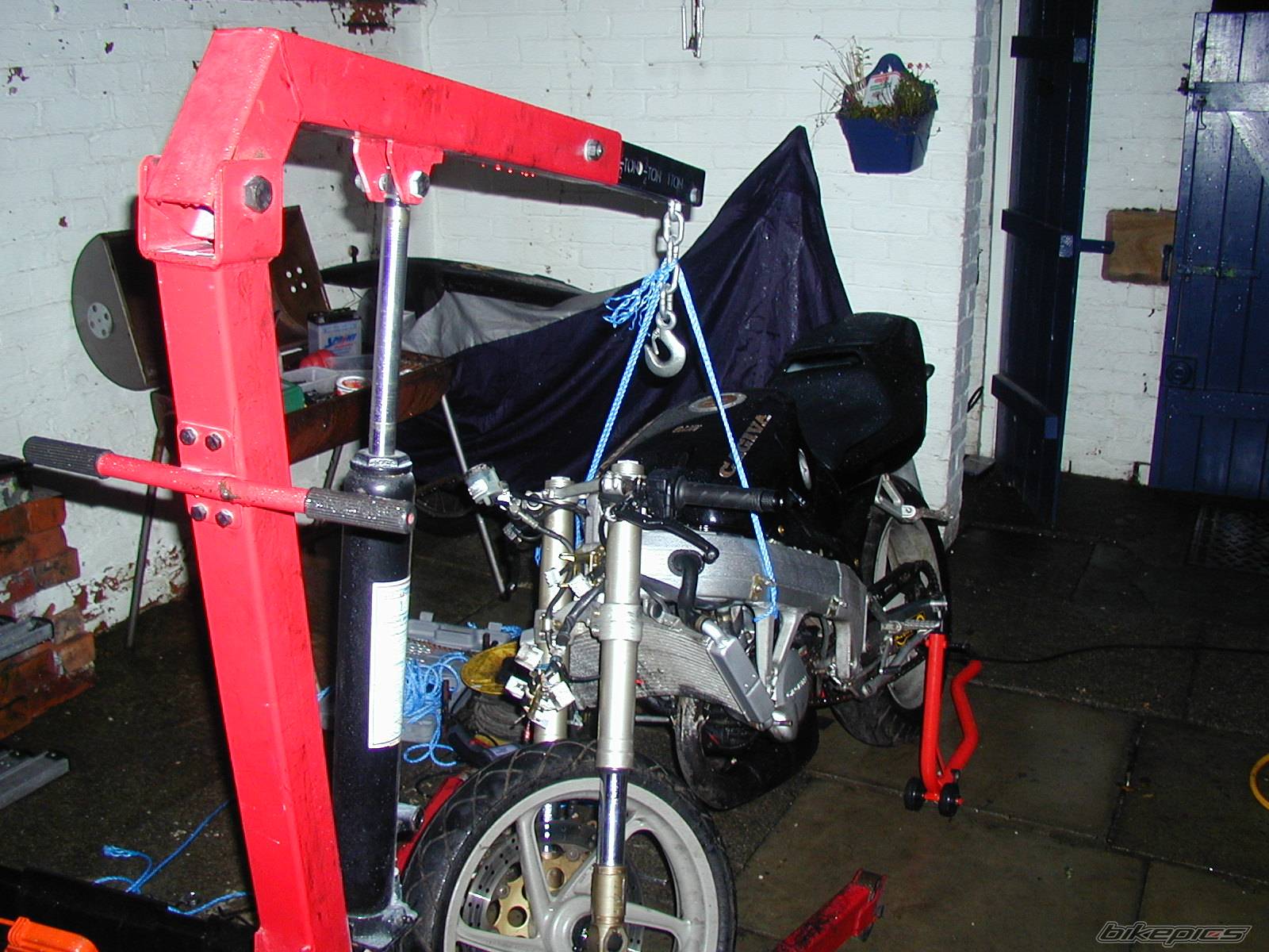 Photo 239607