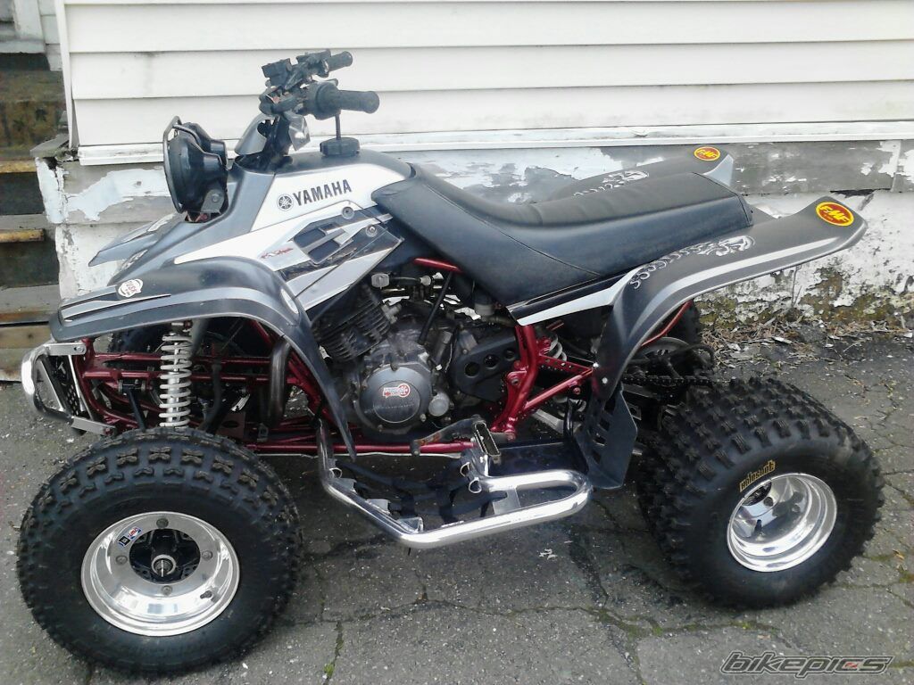 Photo 2396153