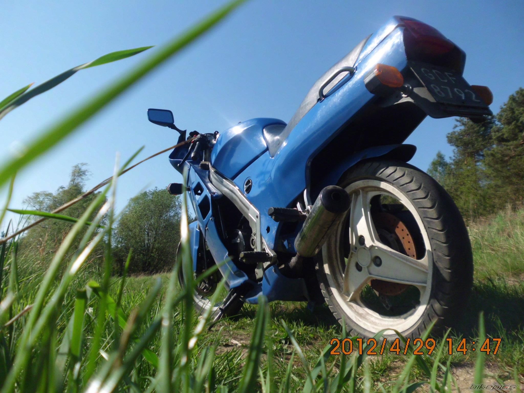 Photo 2396206