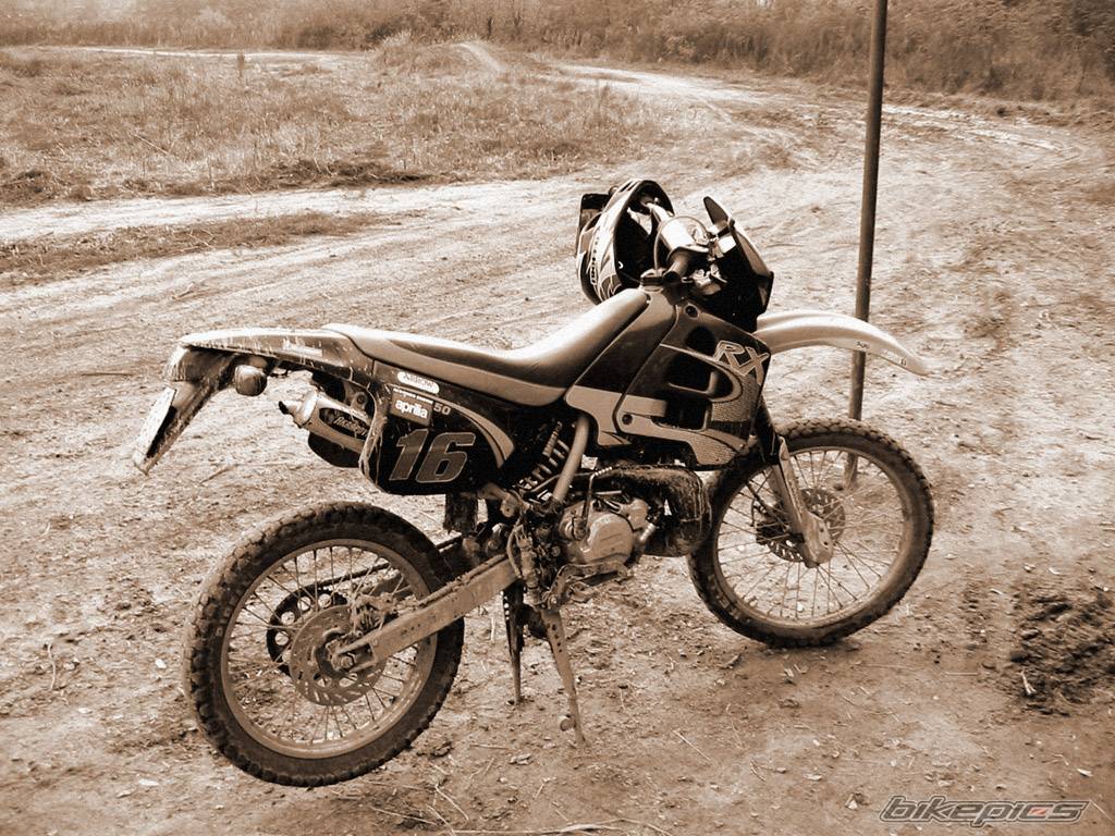 Photo 239633
