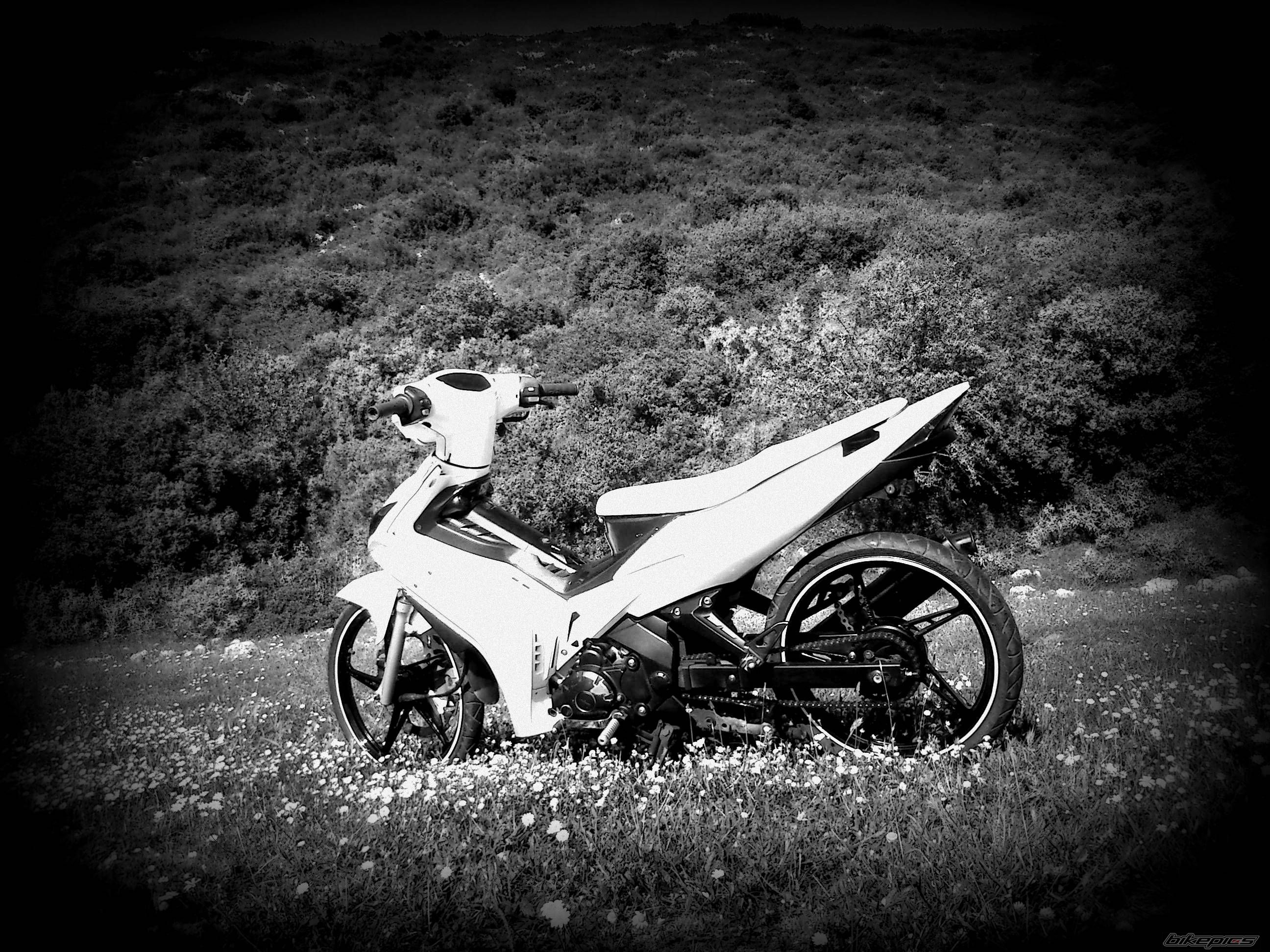 Photo 2396408