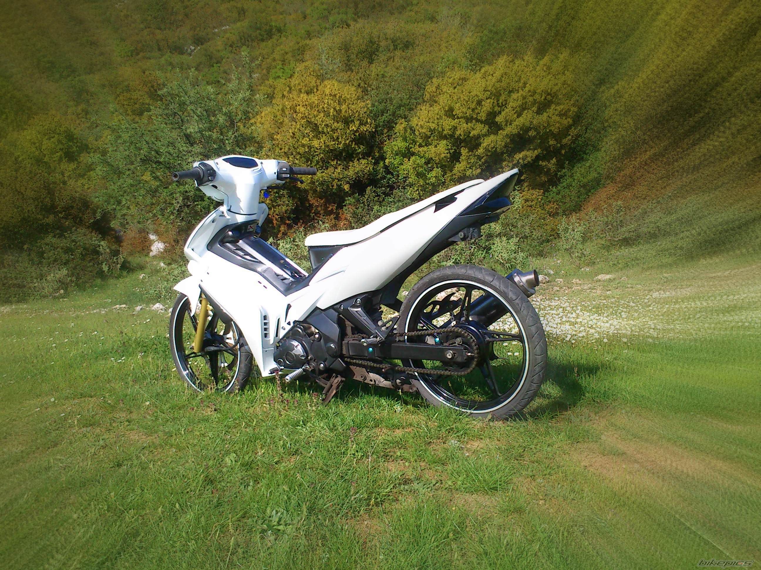 Photo 2396420