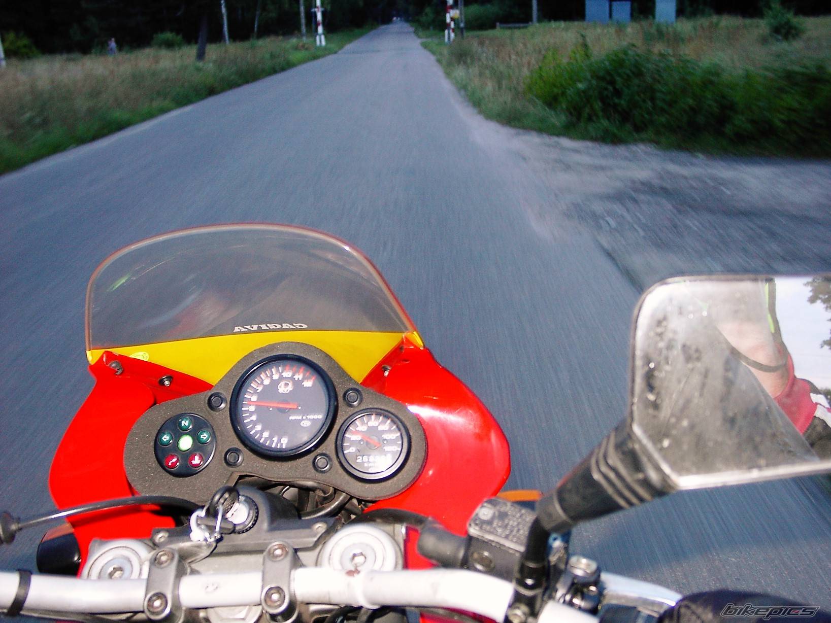 Photo 239652