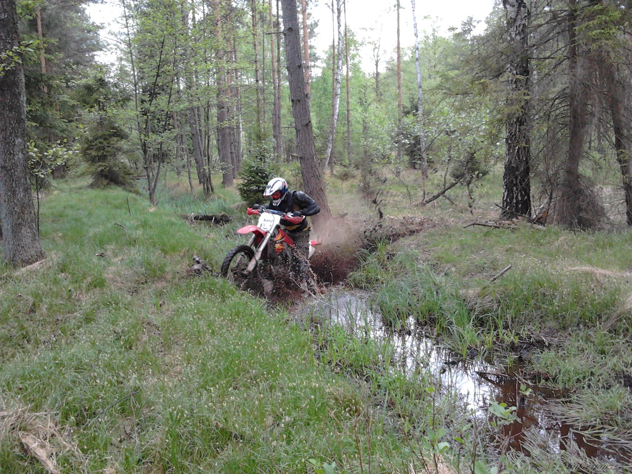 Photo 2396544
