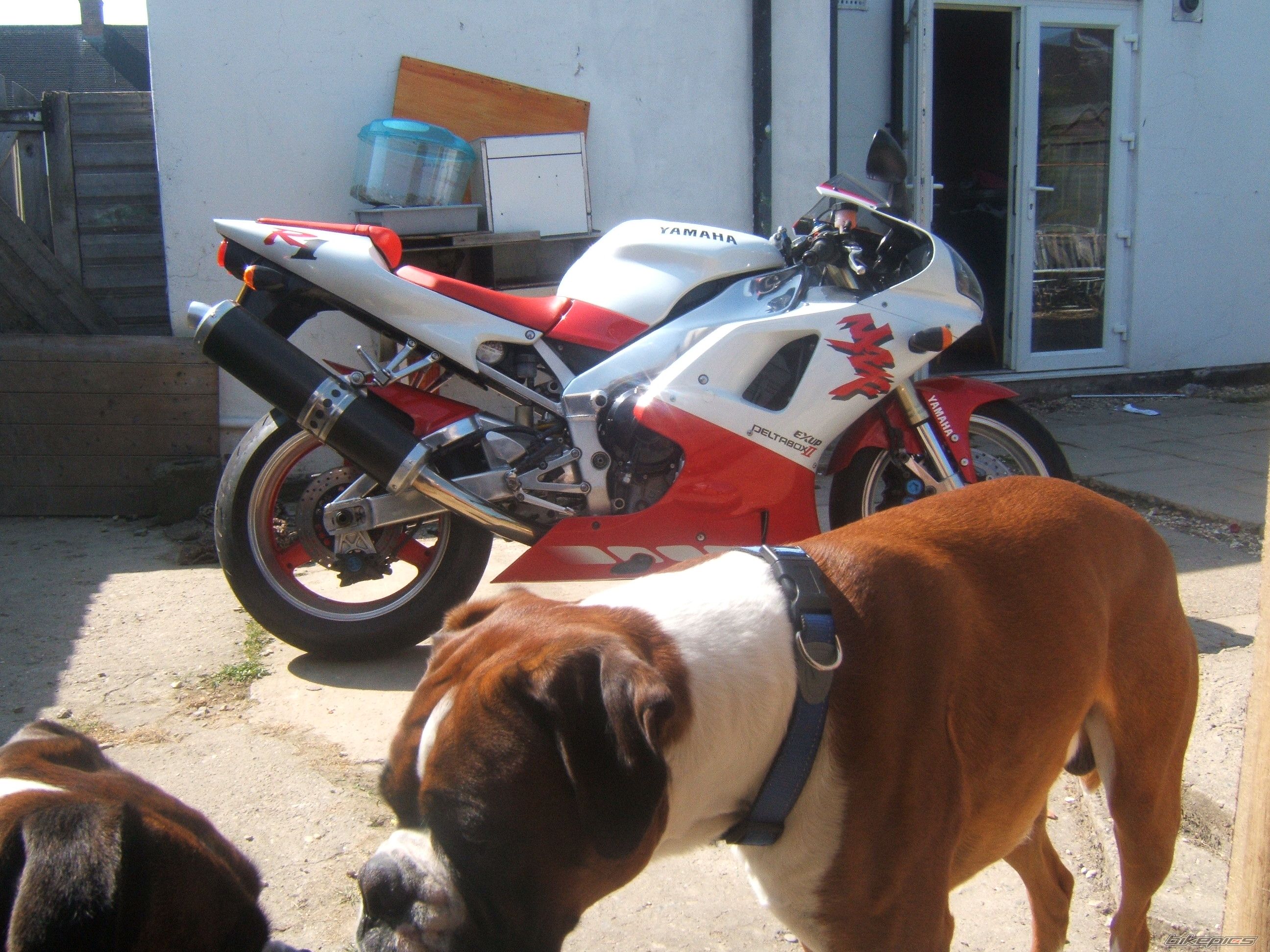 Photo 2396575