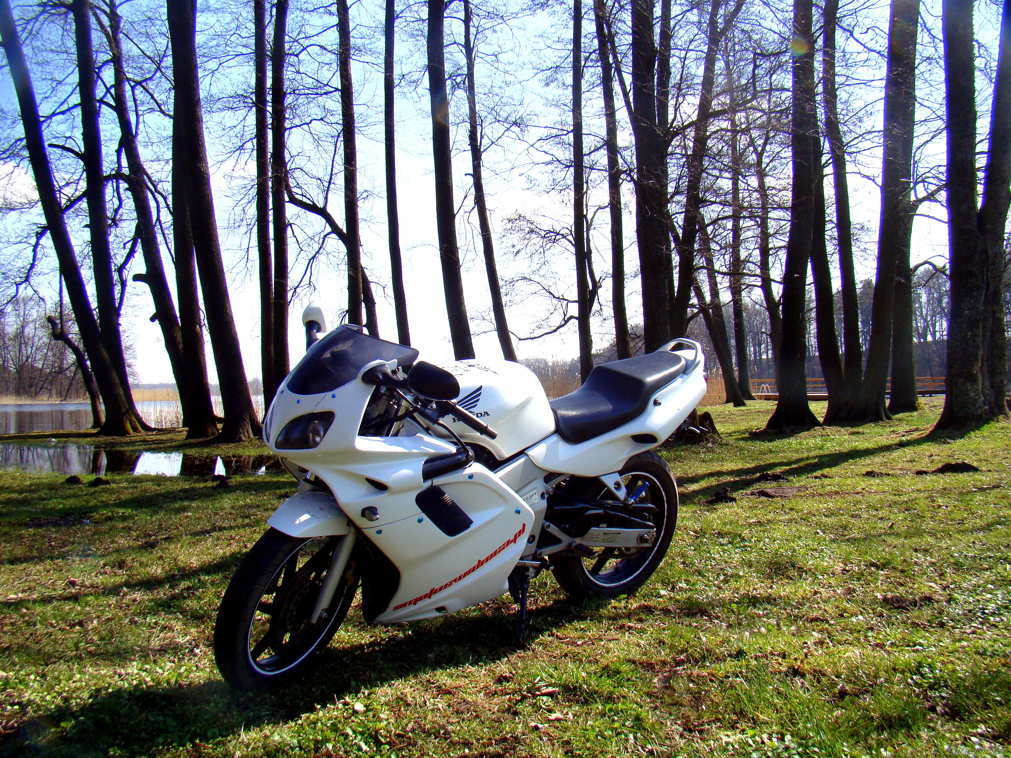 Bike Photo 2396681