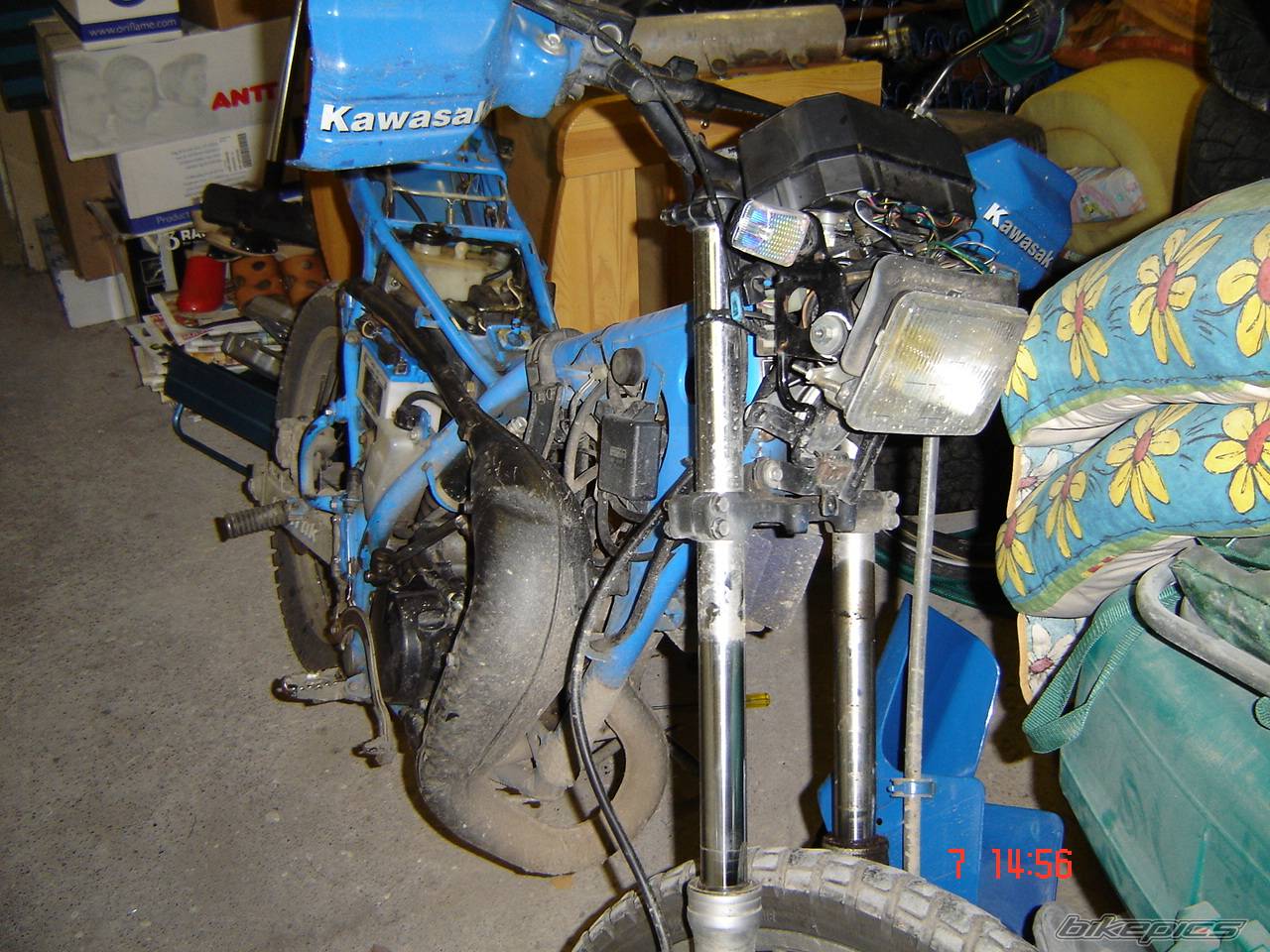 Bike Photo 239677