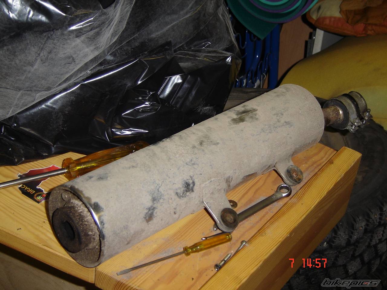 Photo 239678