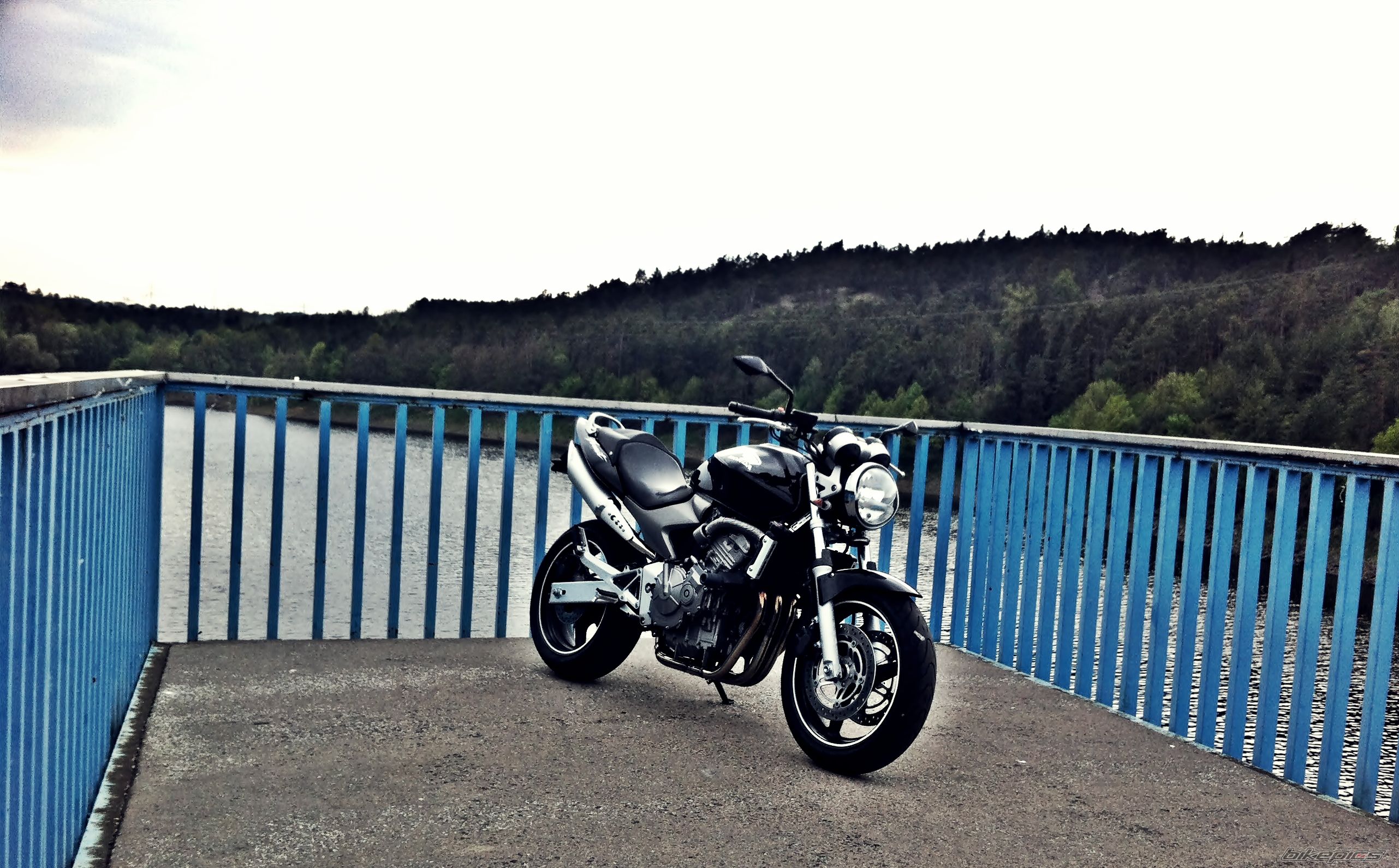 Photo 2396809