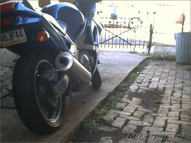 Photo 239684