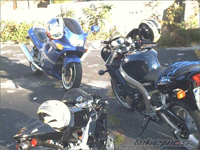 Photo 239685