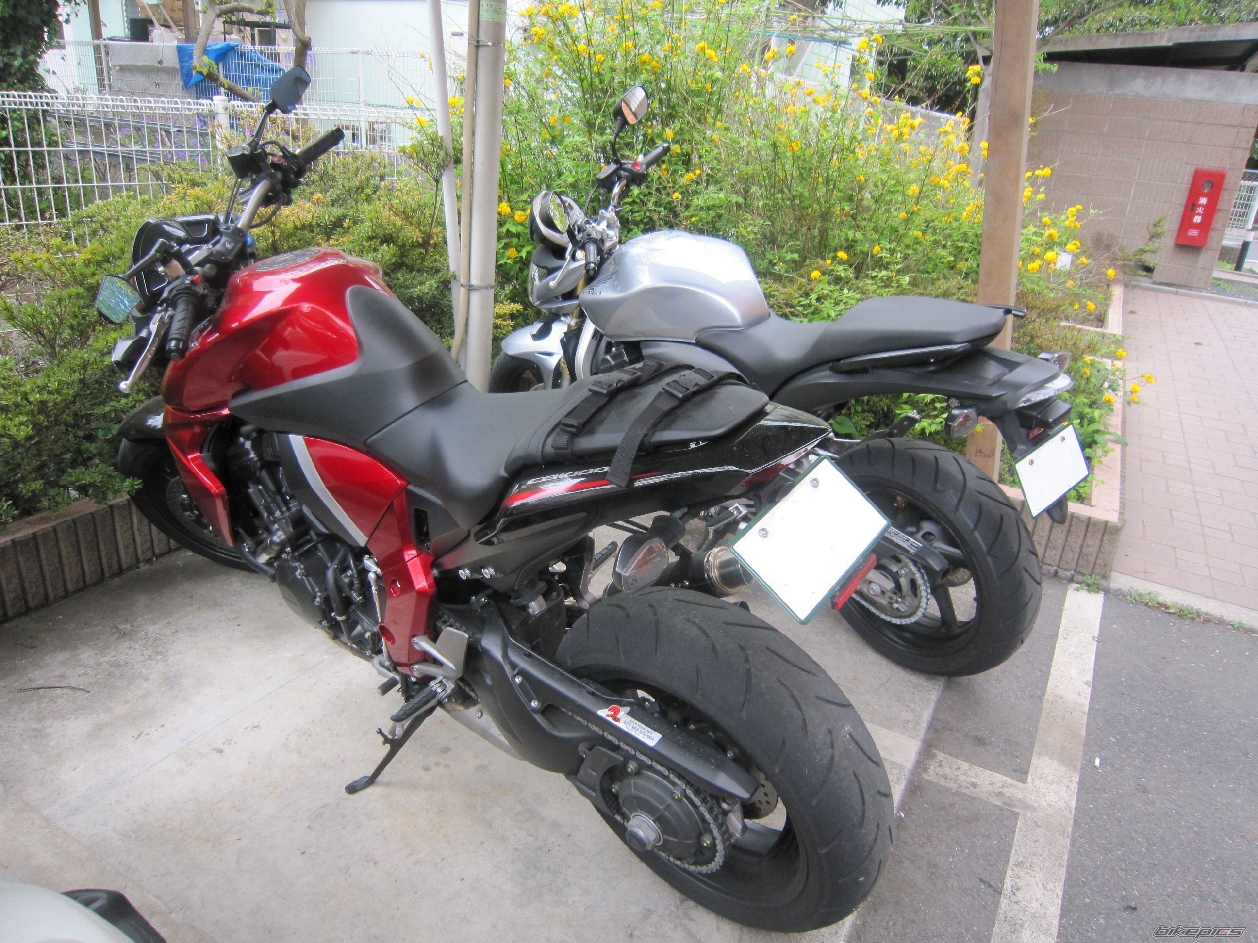 Photo 2396854