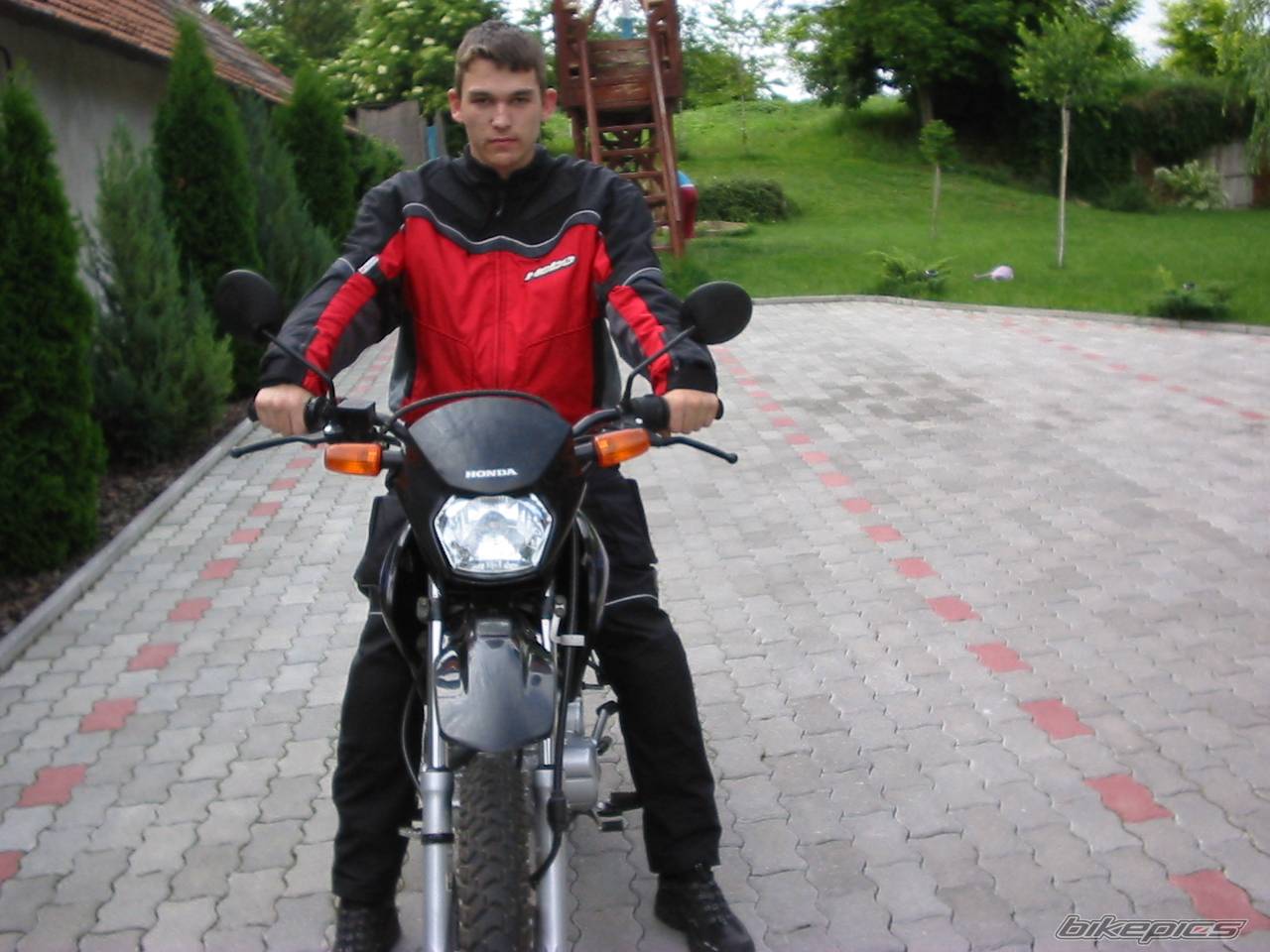 Photo 239698