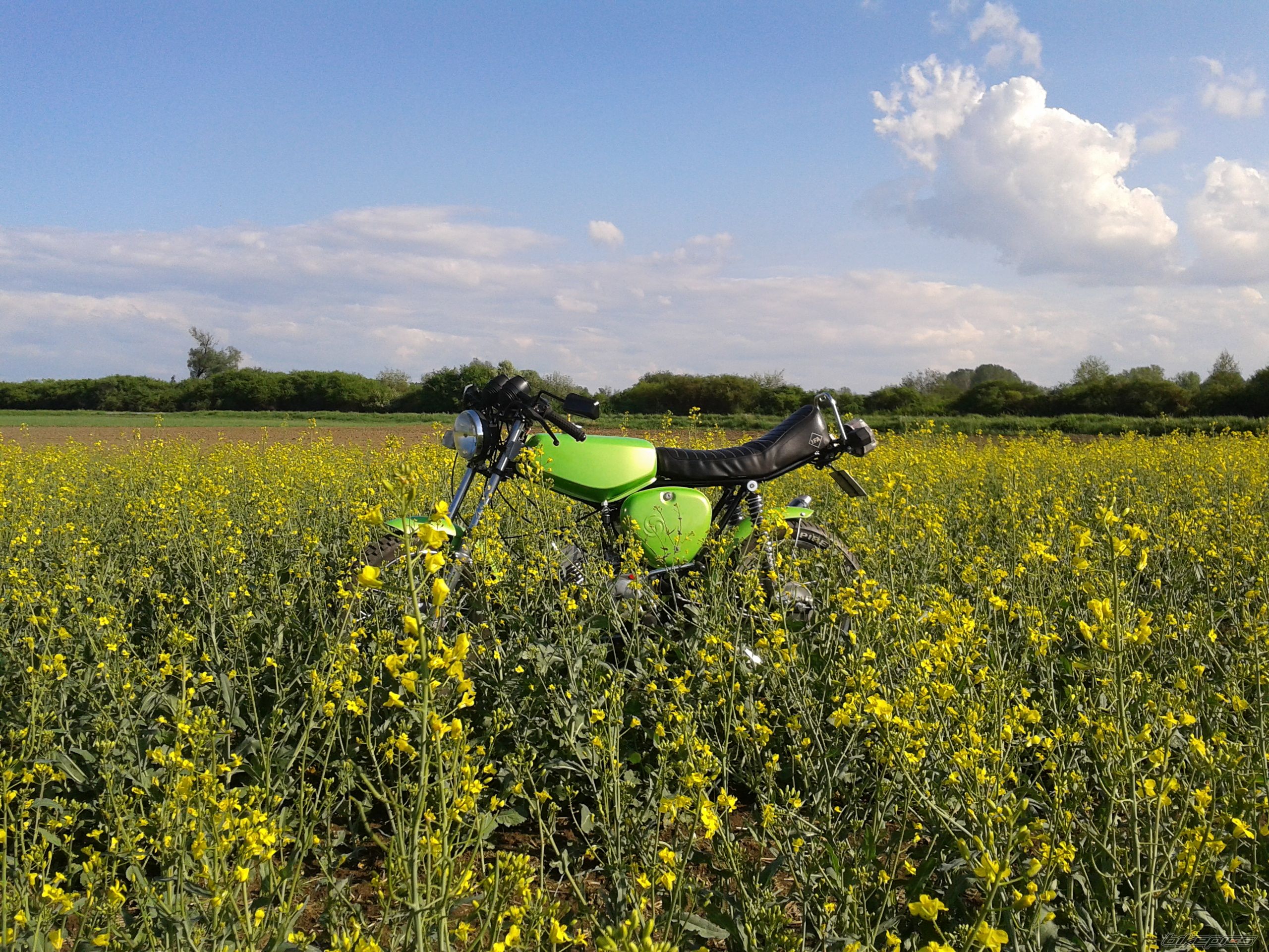 Bike Photo 2397023