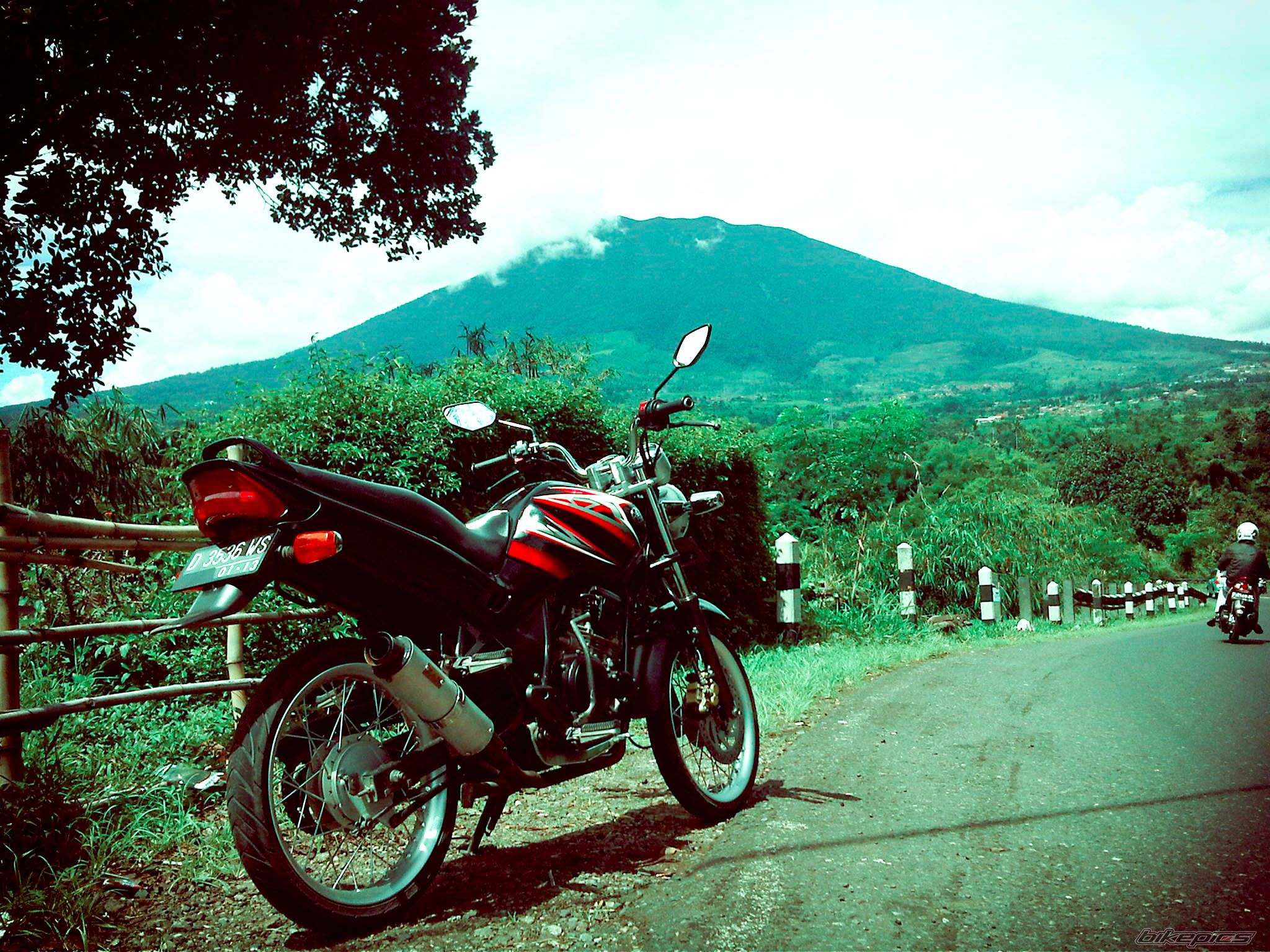 Photo 2397065