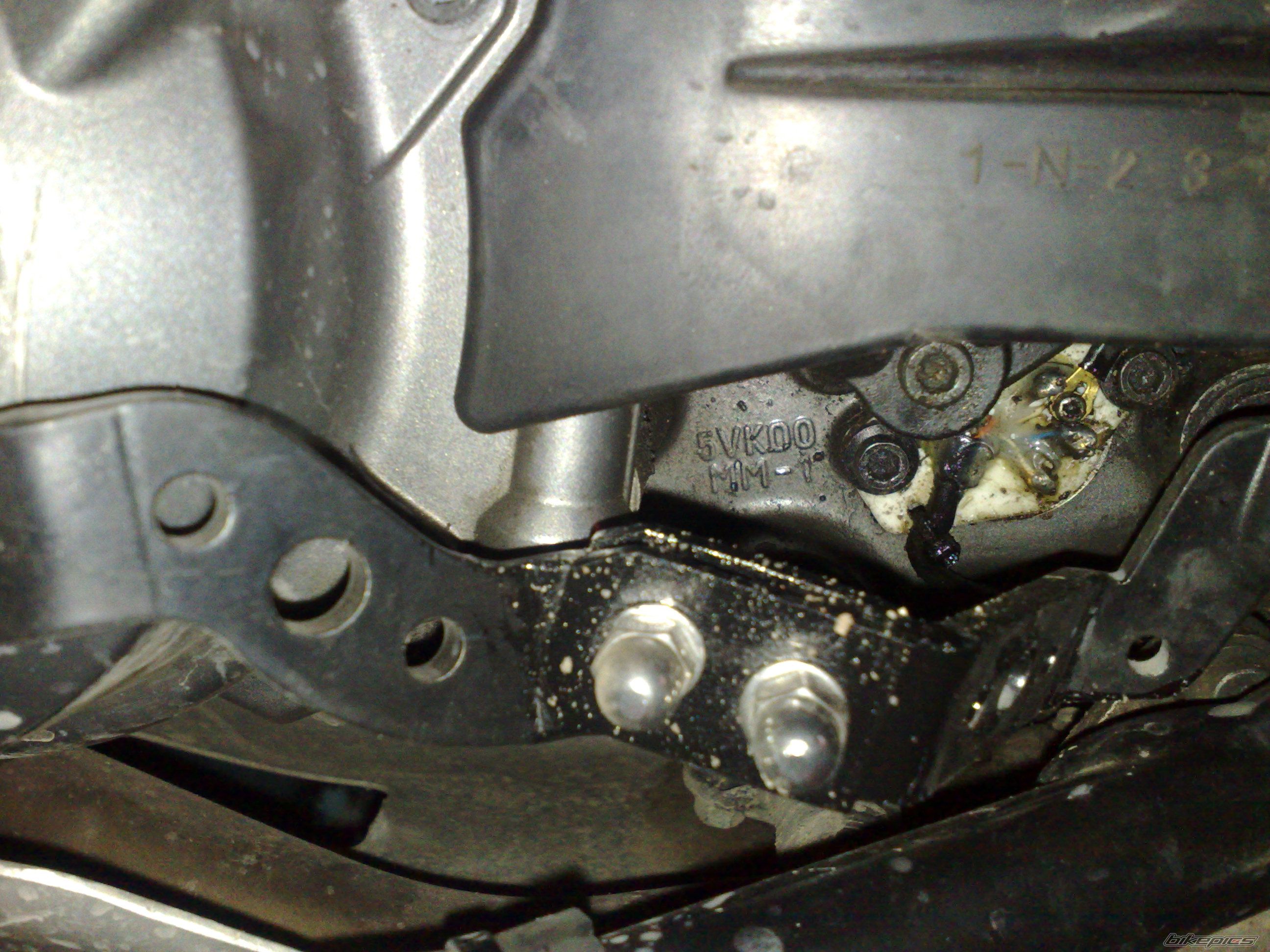 Photo 2397141