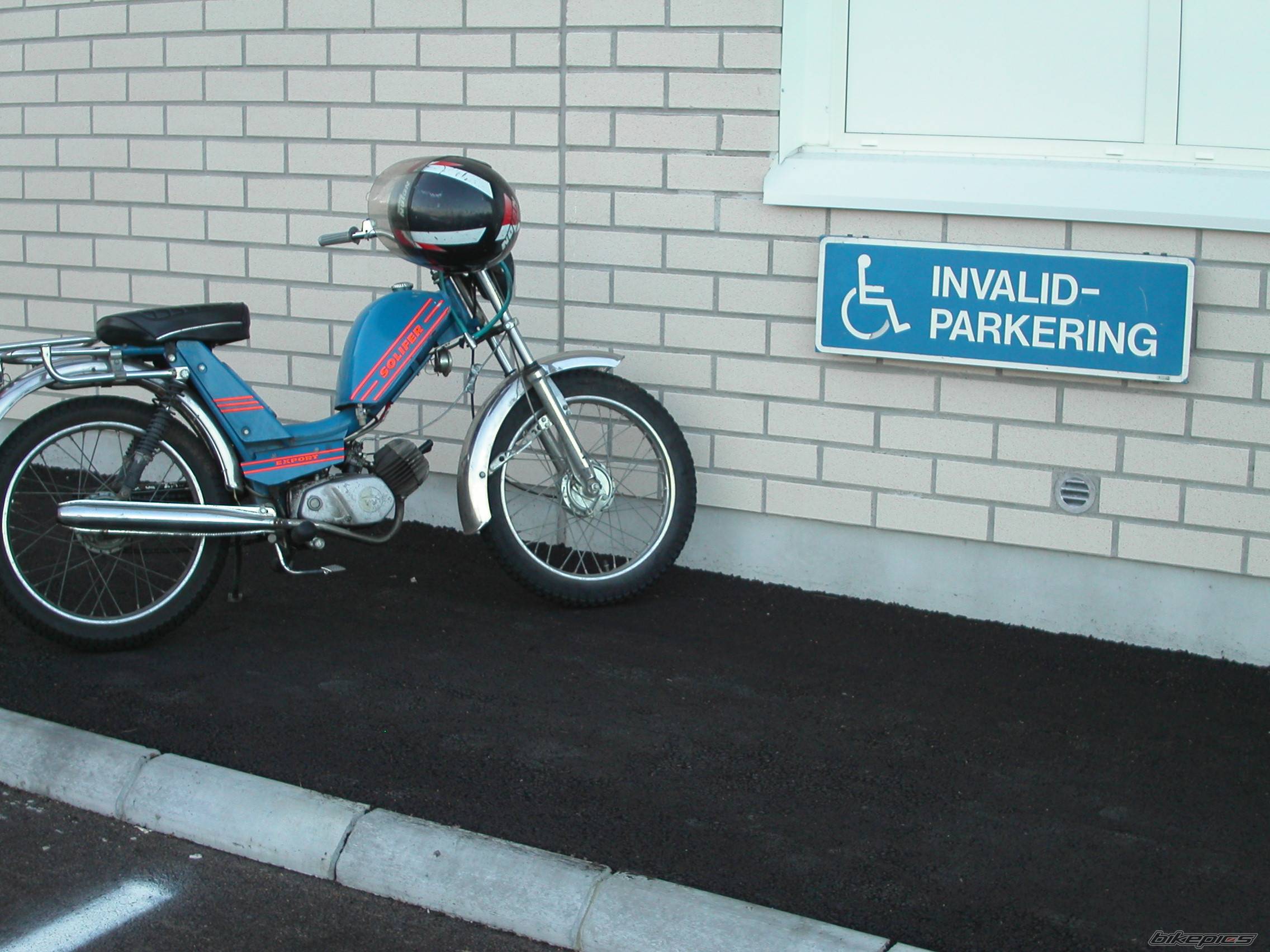 Photo 239718