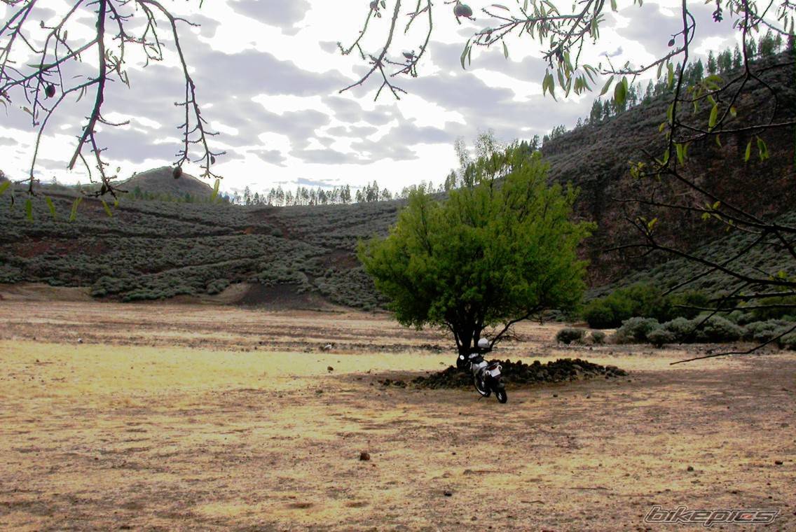Photo 239722