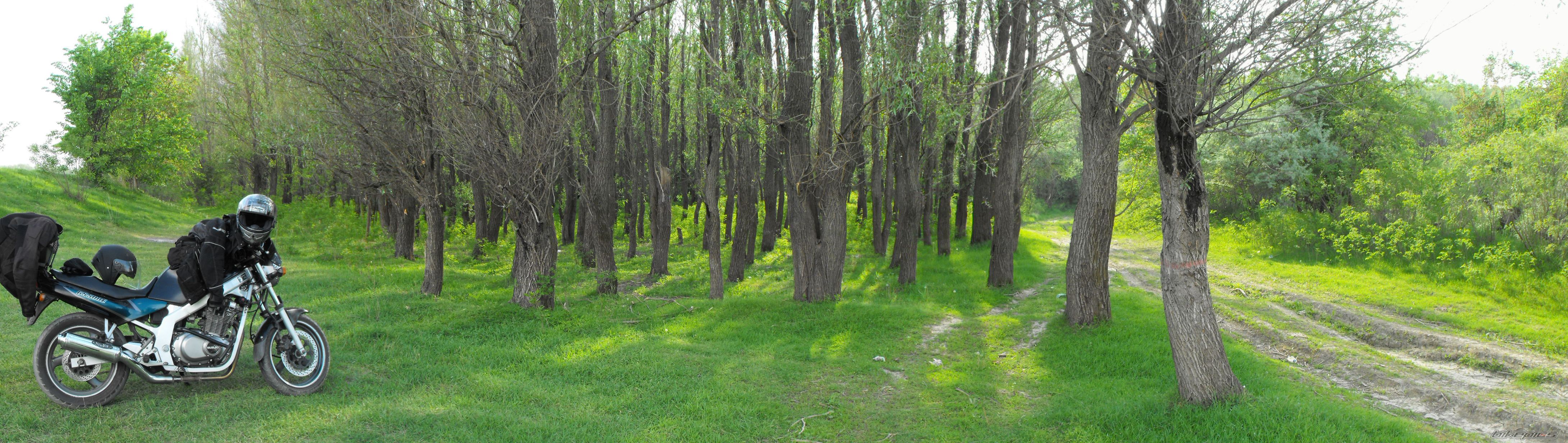Photo 2397287