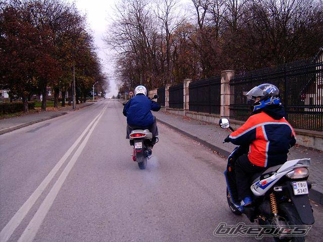 Photo 239731