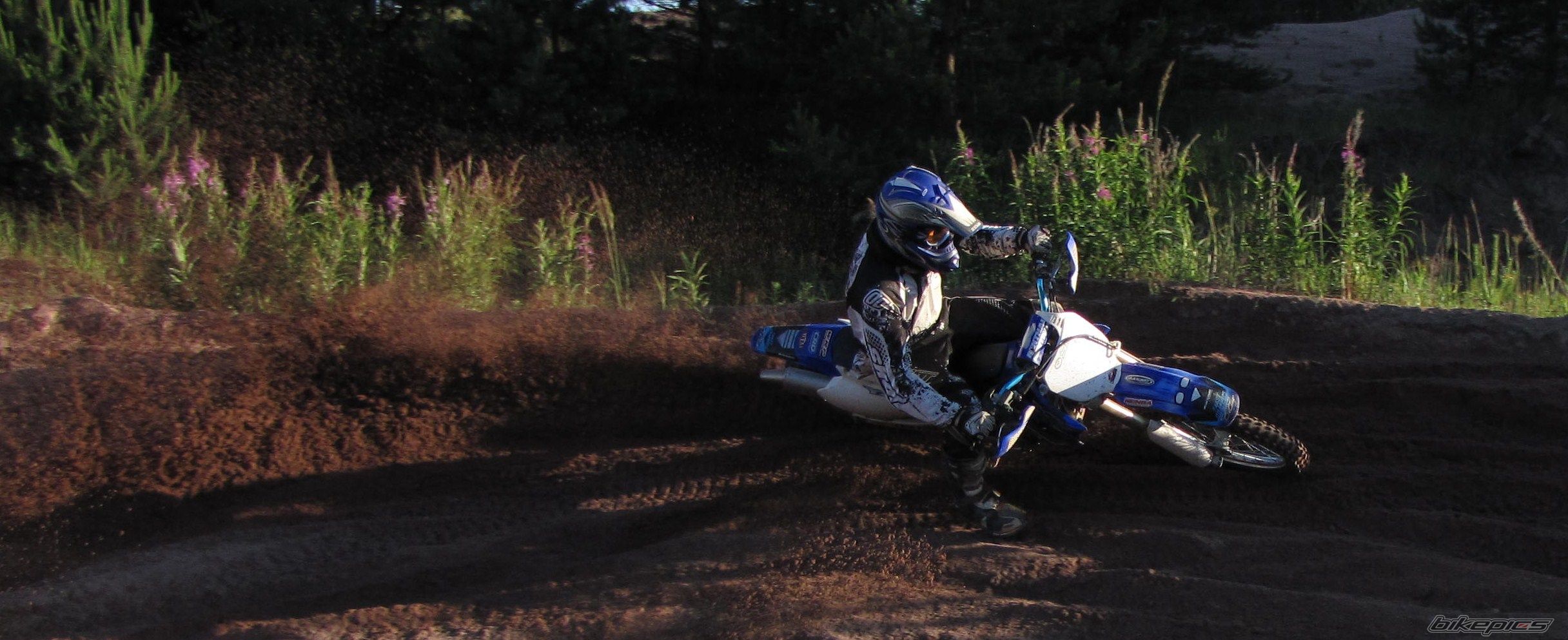Photo 2397374