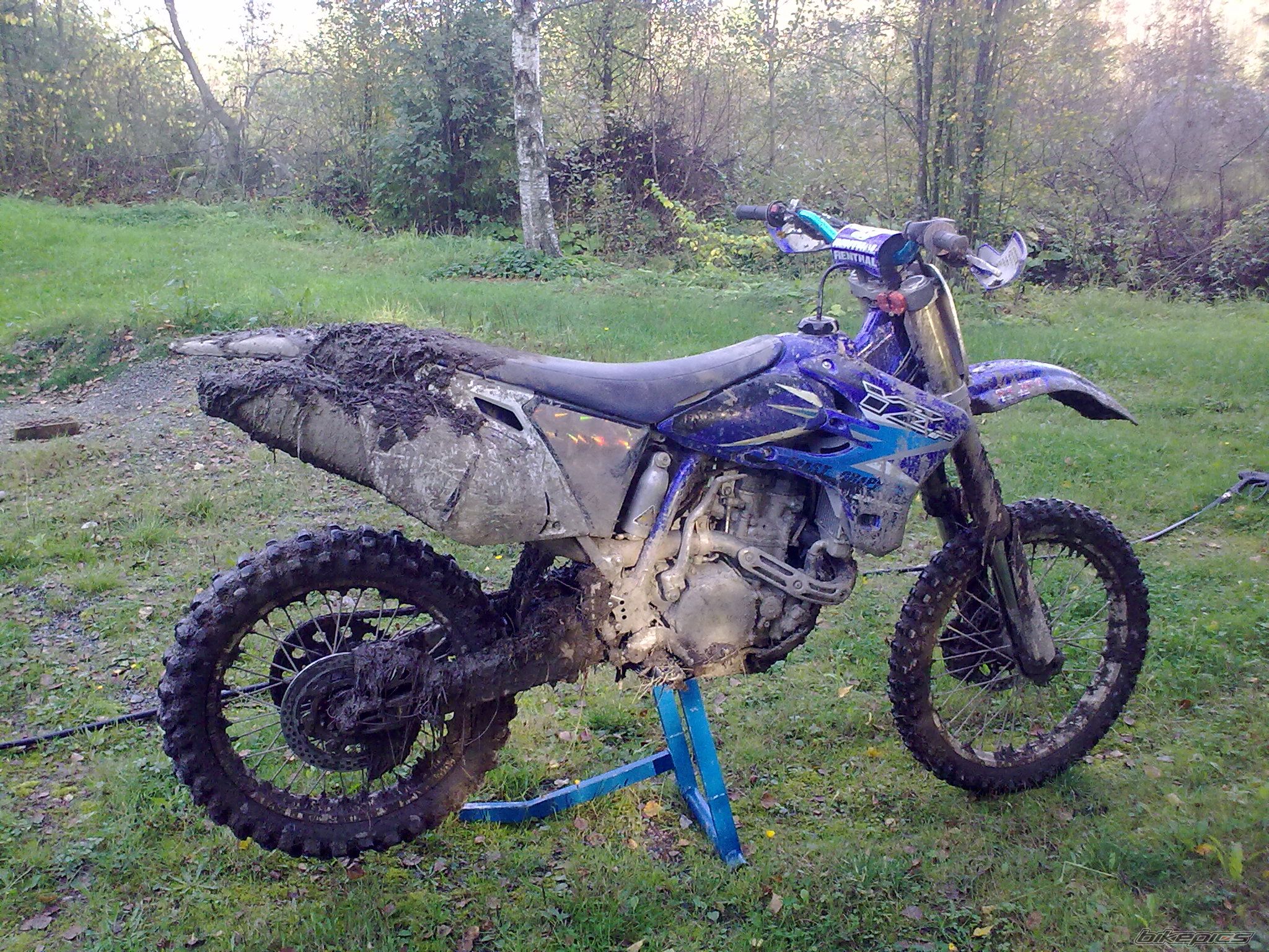 Photo 2397378