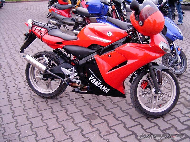 Photo 239742